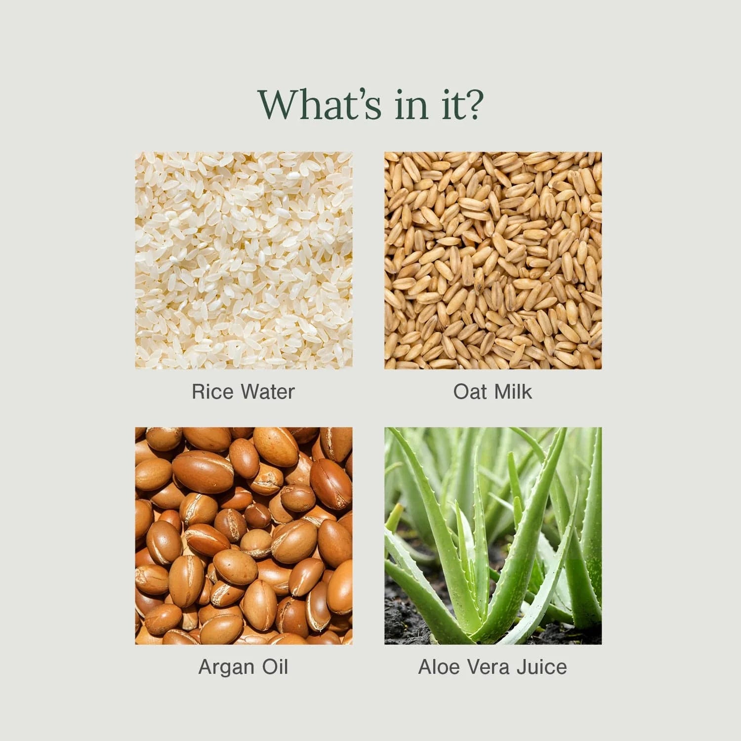 organic daily shampoo Singapore