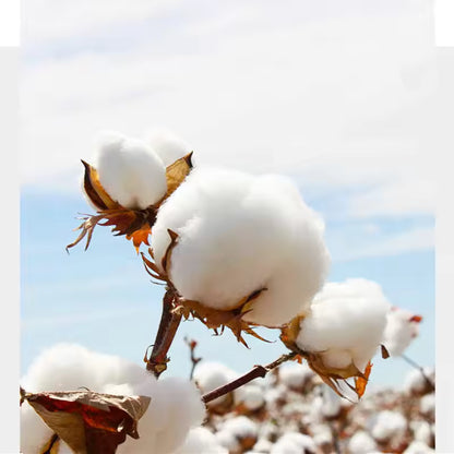 100% Egyptian Cotton Bath Towel Absorbent Adult Bath Towel Solid Colour Soft Affinity