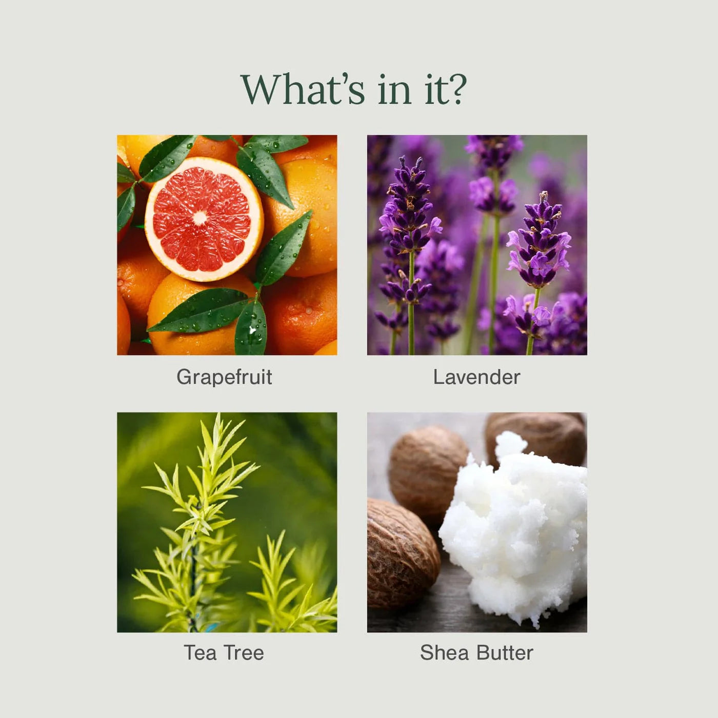 Juicy Chemistry Blood Orange & Geranium Organic Deodorant Jar