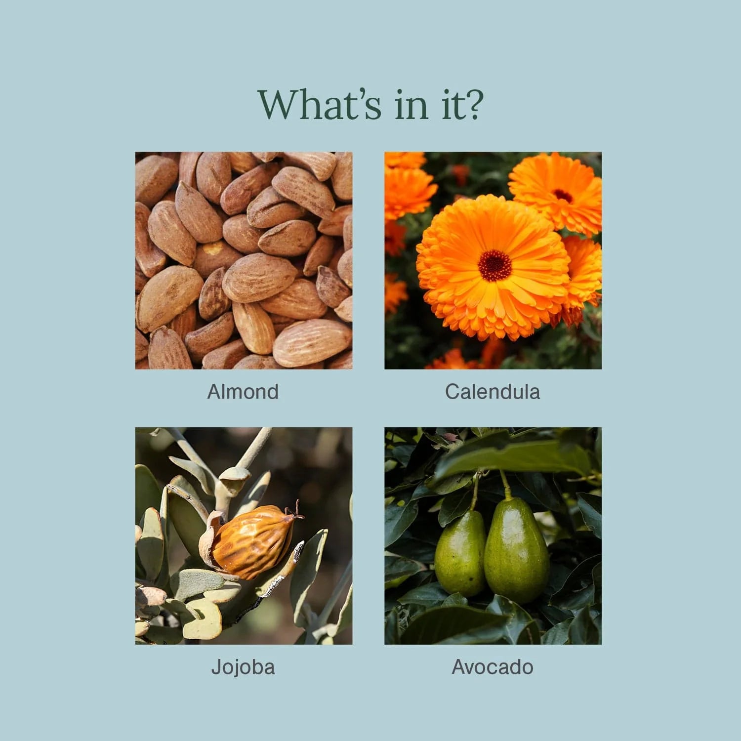 Juicy Chemistry baby oil Singapore