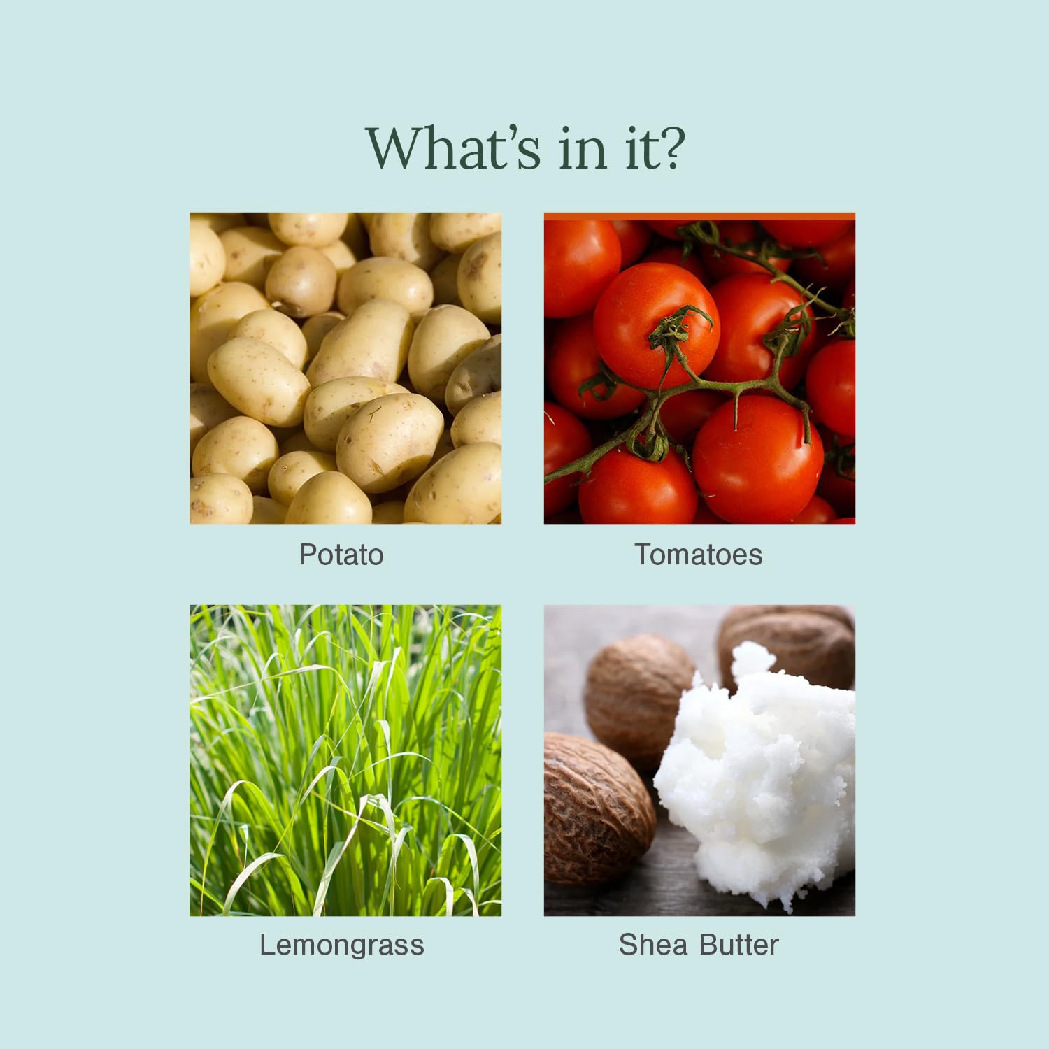 Juicy Chemistry potato and tomato organic soap Singapore