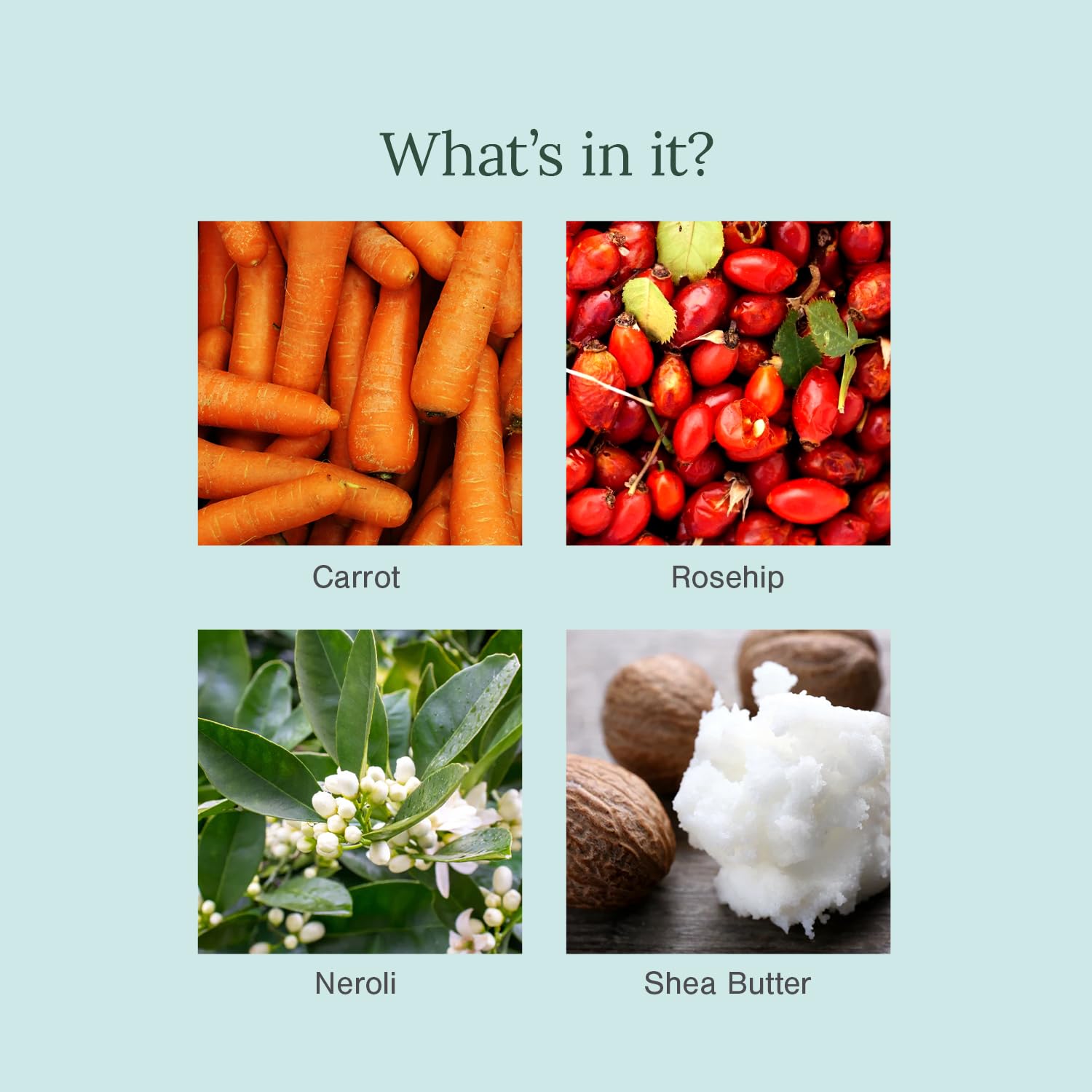 Juicy Chemistry carrot and rosehip organic soap Singapore