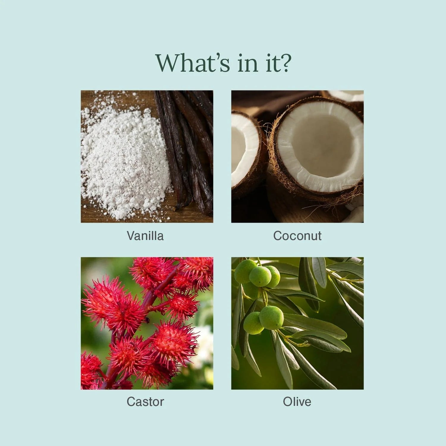 Juicy Chemistry vanilla coconut organic soap Singapore