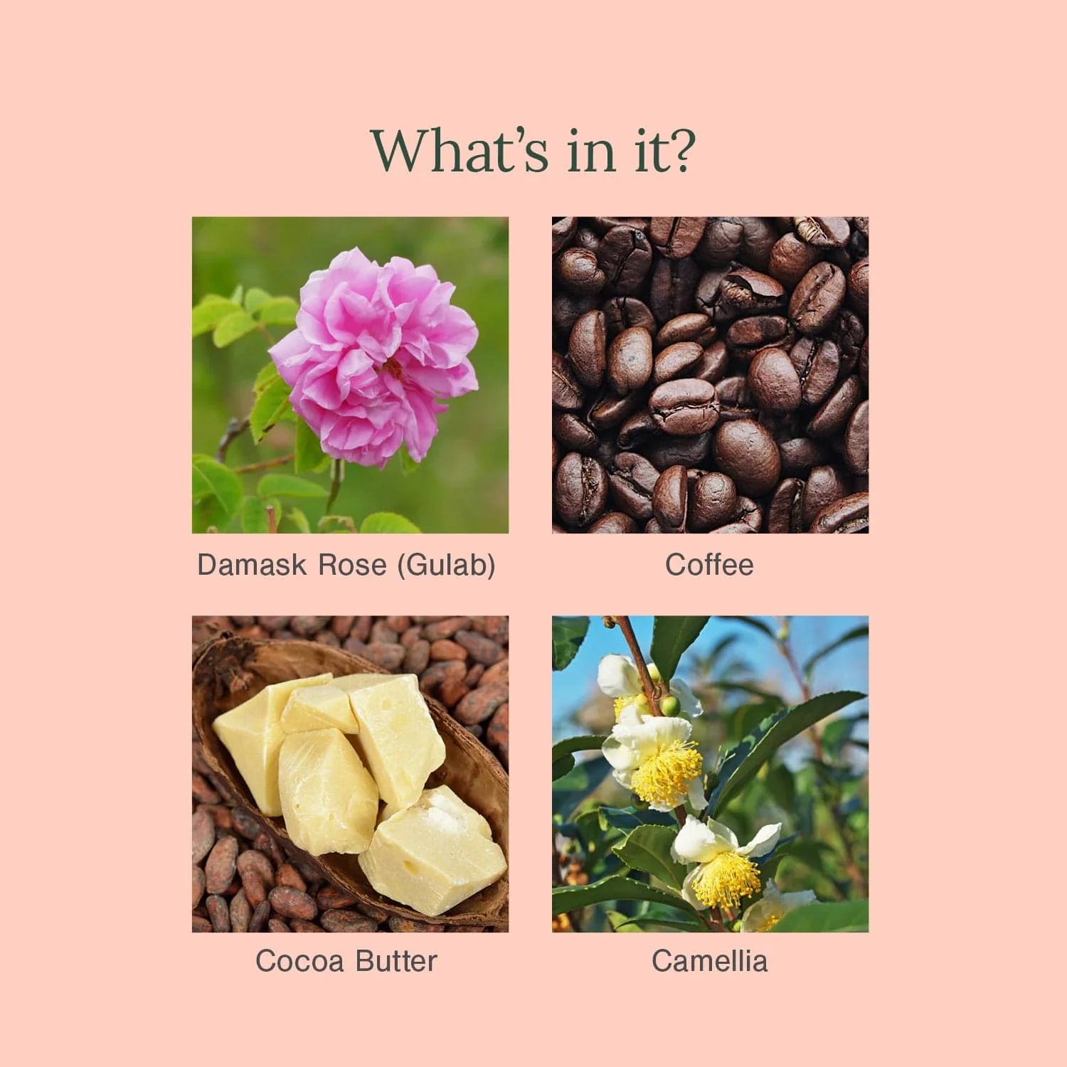 Juicy Chemistry Damask Rose & Coffee Organic Under Eye Cream